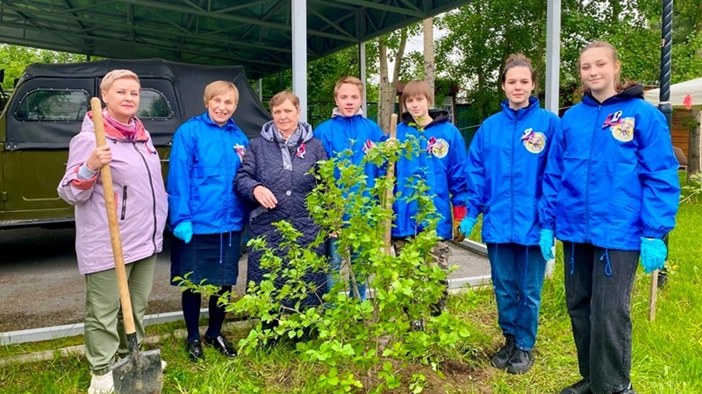 Фоновое изображение команды